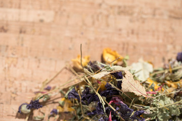 Naklejka premium Dried medical herb tea