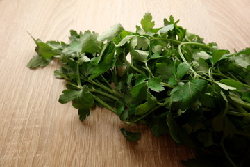 Green parsley close-up