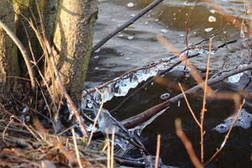 Eisige Zeit / Wasser gefriert an den &Auml;sten