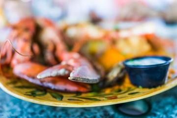 Macro closeup of lobsters and seafood on plate with tartar sauce, bokeh