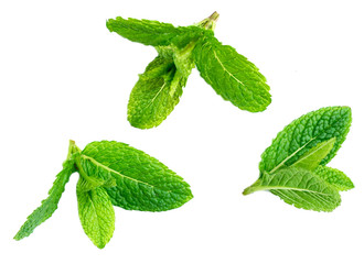 Fresh spearmint leaves isolated on the white background.  © nataliazakharova