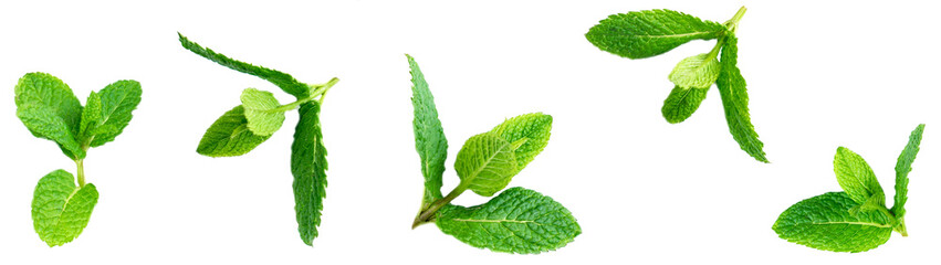 Fresh mint leaves pattern isolated on white background, top view. Close up of peppermint. © nataliazakharova