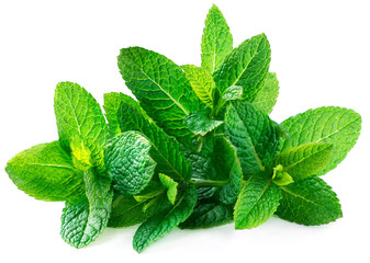 Fresh spearmint leaves isolated on the white background. 