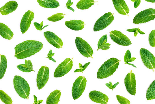 Fresh mint isolated on white.  Mint Pattern.