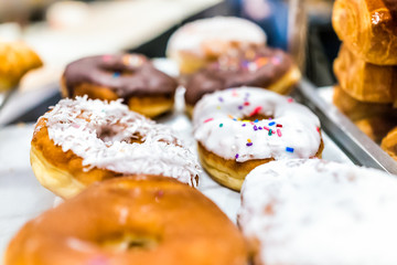 White glaze iced donuts with rainbow sprinkles, coconut flakes on tray in fresh bakery store shop deep fried vanilla
