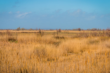 Les étangs de Camargue