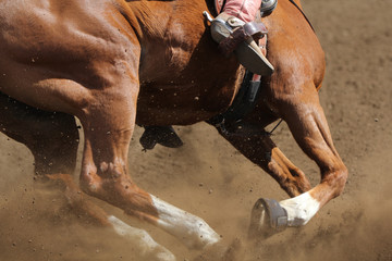 Obraz premium A close up view of a horse running in the dirt kicking up dust in a barrel race.