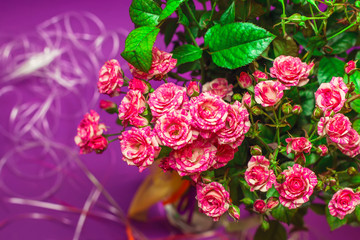 bouquet of small roses on violet background