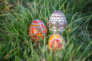 Traditionally painted Easter eggs hidden in grass