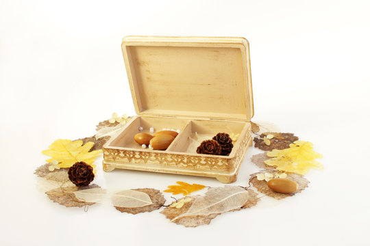 open wooden hand-made box with skeletonized leaves, acorns and cones on a white background.