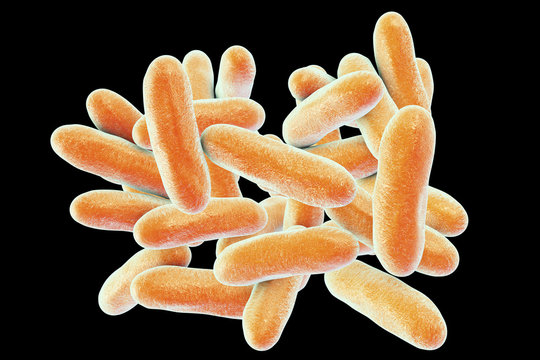 Legionella pneumophila bacteria, 3D illustration, the causative agent of Legionnaire's disease