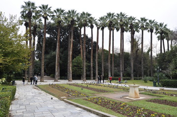 Trees in National Garden, Athens, Greece
