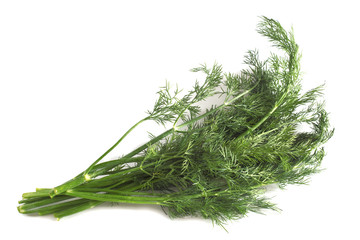 fragrant bunch of green fresh dill