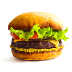 Burger isolated on white
