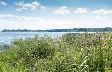 Fototapeta na wymiar The shore of Lake Ladoga