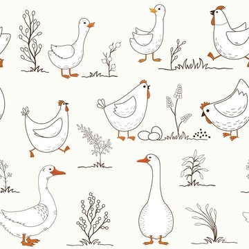Seamless pattern with cartoon farm birds