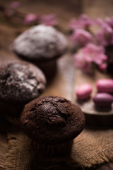 Chocolate muffin. Homemade bakery on wooden background