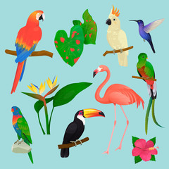 Tropical birds vector flamingo and exotic parrot or hummingbird with palm leaves illustration set of fashion birdie toucan in tropics isolated on background