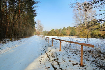 Nature reserve Noettiger Heide near Ingolstadt