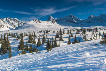 Obraz premium Tatra Mountains - Hala Gasienicowa, winter