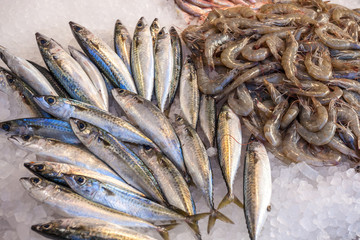 Different fresh Fish on the fishpond bench