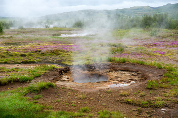  View of a Meadow with Steaming Hot Springs, Haukadalur Valley, Southern Iceland