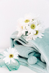 Fototapeta na wymiar Daisy chamomile white flowers with blanket