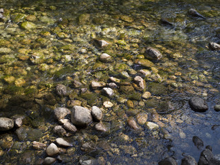 River rocks below water