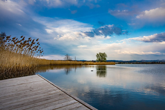 Am Greifensee in der N&auml;he von Z&uuml;rich