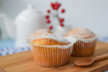 sweet cupcake sprinkled with powdered sugar