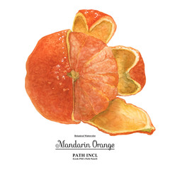 Mandarin Orange Fruit