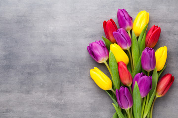 Multicolored spring flowers, tulip on a gray background.