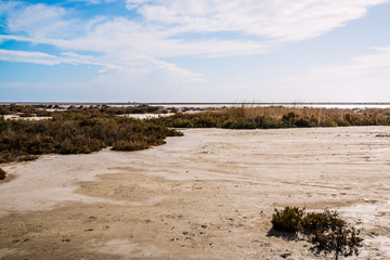 Les étangs des Salins du Giraud en Camargue