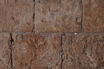 Hand-made brick paving in the old house. Dried leaves of lime on pavings.