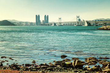Beautiful view of the sea and cable-stayed bridge, beautiful landscape