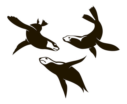 collection of sea seal silhouettes
