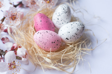 Naklejka na ściany i meble View of colorful pink and white freckled Easter eggs in a straw nest with spring tree branches blooming with white flowers on white background, Happy Easter background