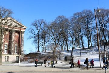 Obraz premium Aussicht über den Park im Winter