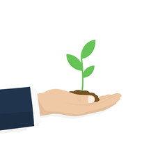 Hands holding seedling on white background, Ecology concept. Vector illustration.