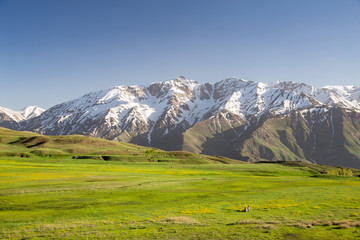 Pichbon in Alamut, Qazvin, Iran