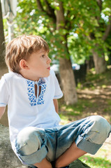 Cute little boy in Ukrainian national shirt