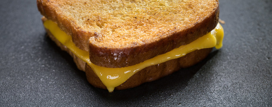 Grilled Cheese Panorama