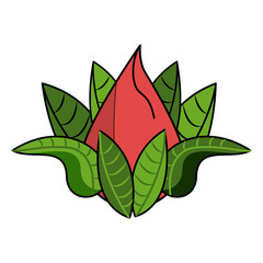 Lotus flower symbol vector illustration graphic design