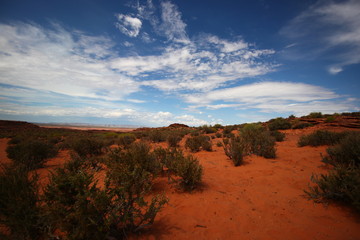 désert d'Arizona, Grand Ouest des Etats-Unis