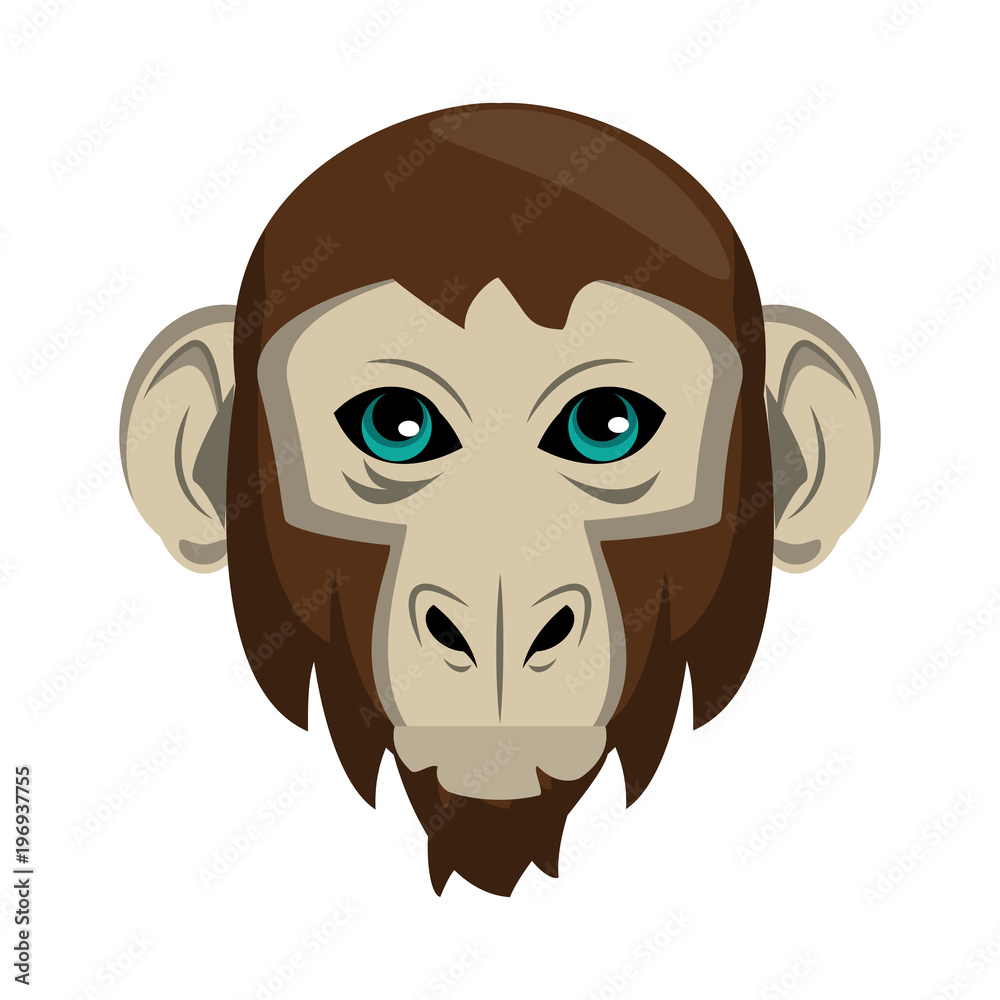 Canvas Prints Monkey Wild animal head vector illustration graphic design