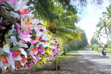 Polynesian flowers head wreaths for sale in Rarotonga Cooks Islands