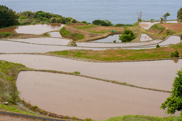 田植えの準備を終えた田んぼ