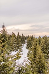 winter mountain landscape