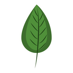 Leaf eco symbol vector illustration graphic design