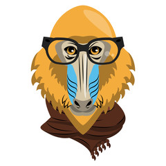 Cool hipster mandrel monkey head cartoon vector illustration graphic design